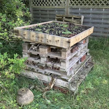 Community Orchard 06