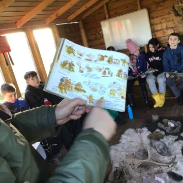 Forest School history