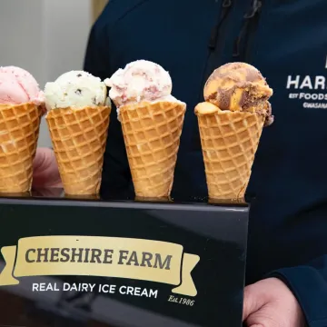 Ice cream farm
