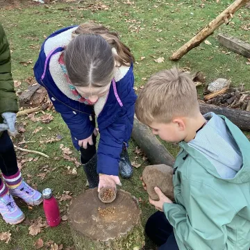 Forest schools history