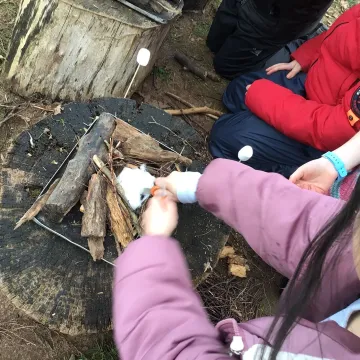 Forest Schools