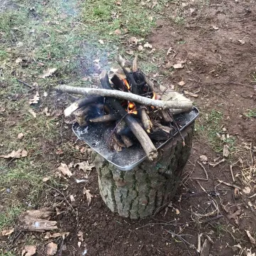 Forest Schools