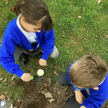 Y3 soil fieldwork 3