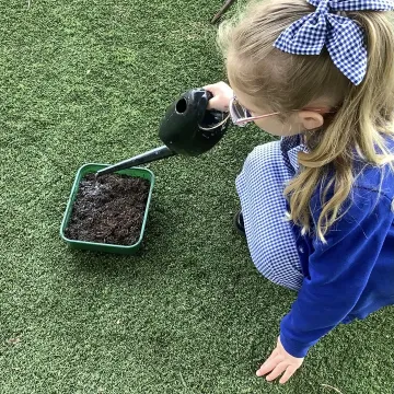 Watering seeds