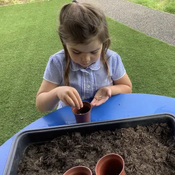 Planting