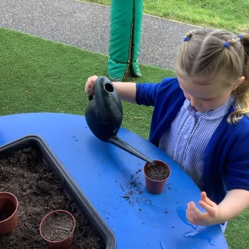 Watering seeds