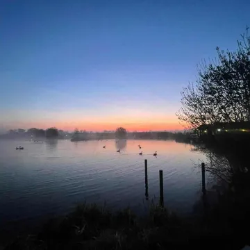 Mist