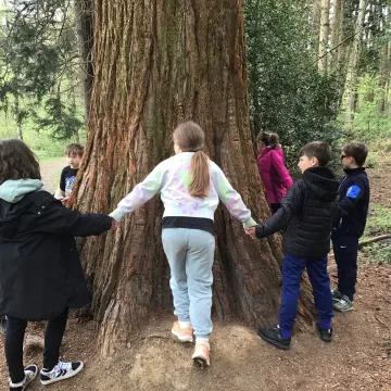 PGL 17