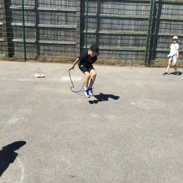 15.5