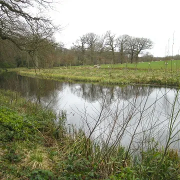 Lake, Chillington