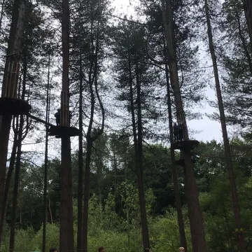 Go Ape