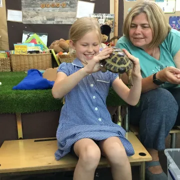 Tortoise