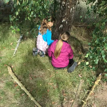 Fs3