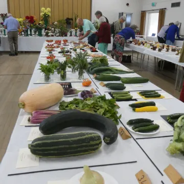 HHS Show Veg 2025_02