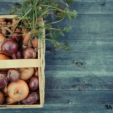 Basket of fresh onions and carrots on a rustic wooden surface, showcasing a farm-to-table harvest.