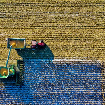 Drone captures vibrant aerial view of tractors harvesting corn in Minnesota field.