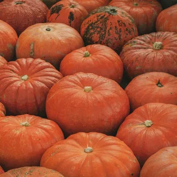 Pumpkins, halloween, fall, vegetables, harvest, fa