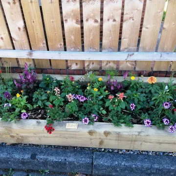 Willington Gold award 2