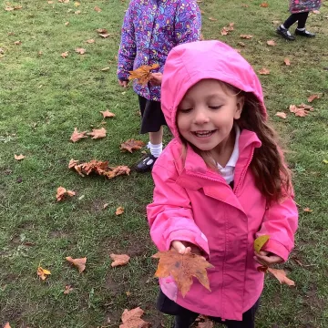 Leaves