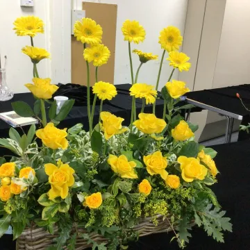 Tarvin Online – Img_0553