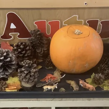 Ec4551c3-80c2-4b97-9b8f-Aa655bec8c7f