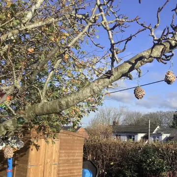 1a05fa9d-05f0-4aa9-857a-Cd7165490597