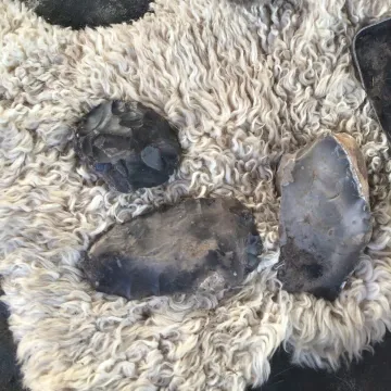 Faba0262-9889-46a1-8875-B57e7b51c97e