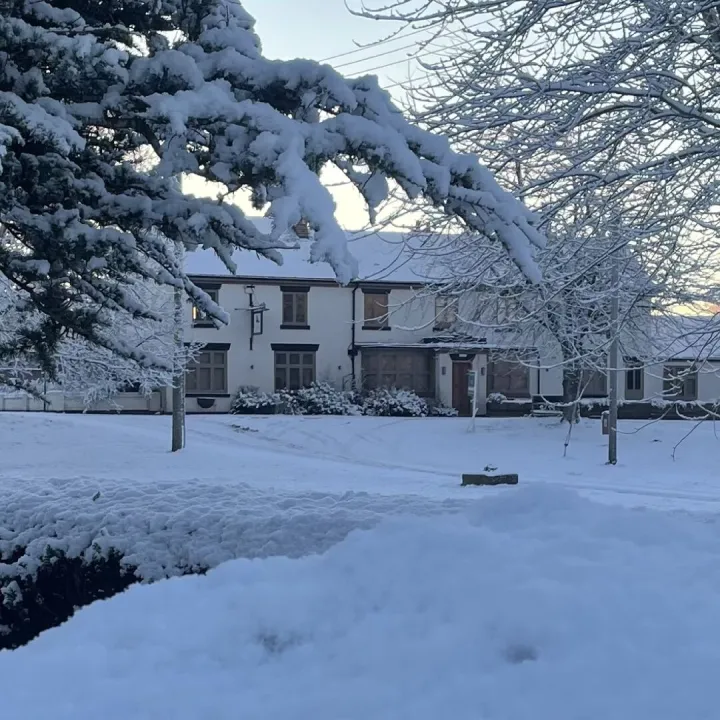 C6c9c9dd-F4ba-44f1-8562-3e54f6088e54_1_201_a