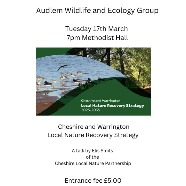 Aweg 17th March 2026