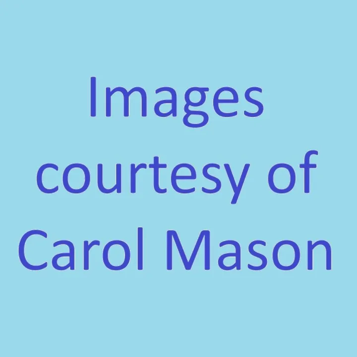 Thanks to Carol Mason