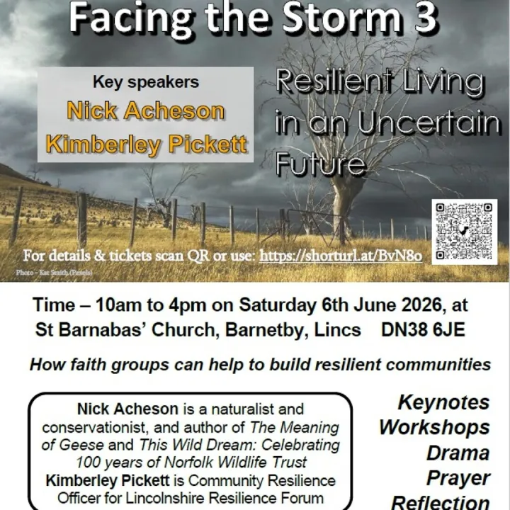 Facing The Storm 3 Flyer
