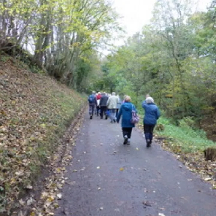 November Probus Walk
