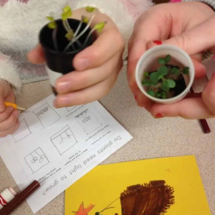 Brownies science investigation badge