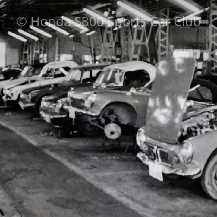 12615491 170382423330631 406113354464908922 o