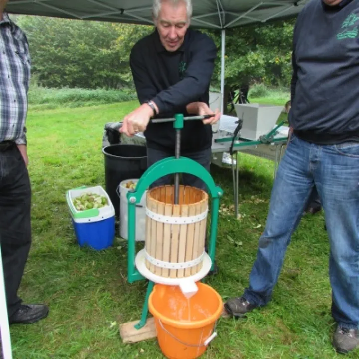 Apple Pressing (3) 2015