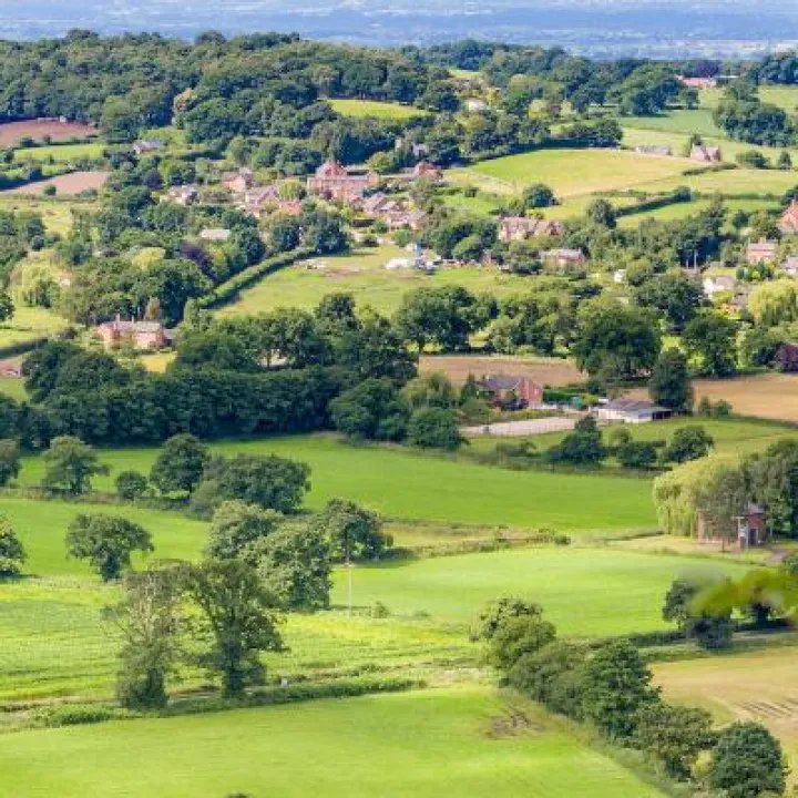 View from Sandstone Trail on Bickerton Hill 17
