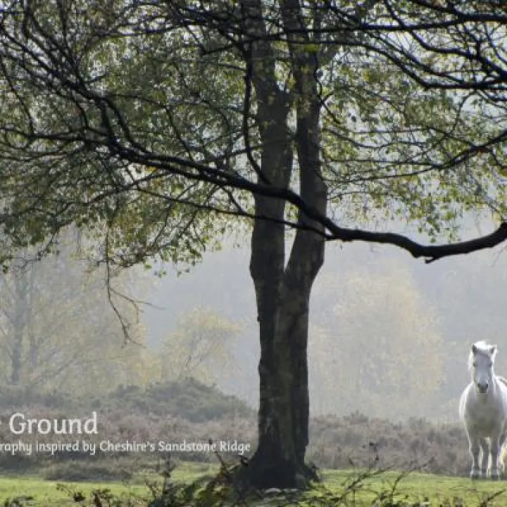 Fertile Ground front cover