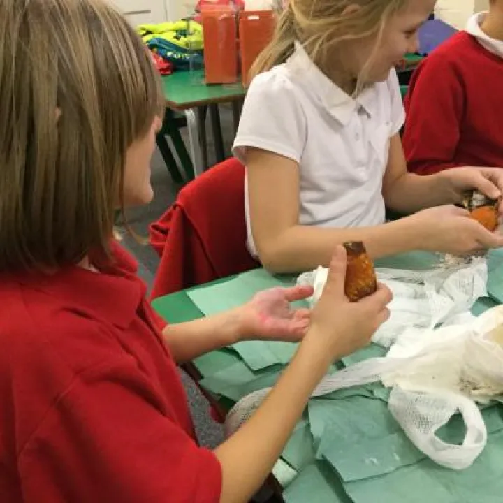 20B353A3-86B4-4700-9512-7EABDA0247C4