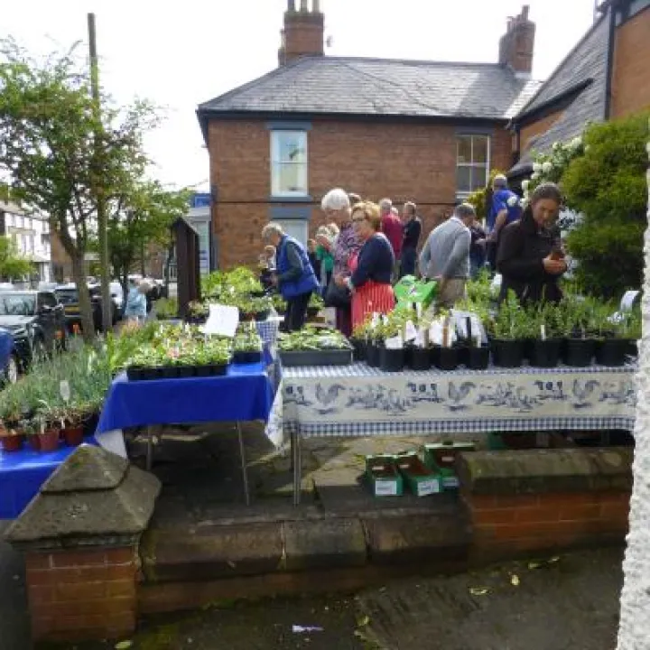Woodland Trust Plant Sale 2018 P1080938