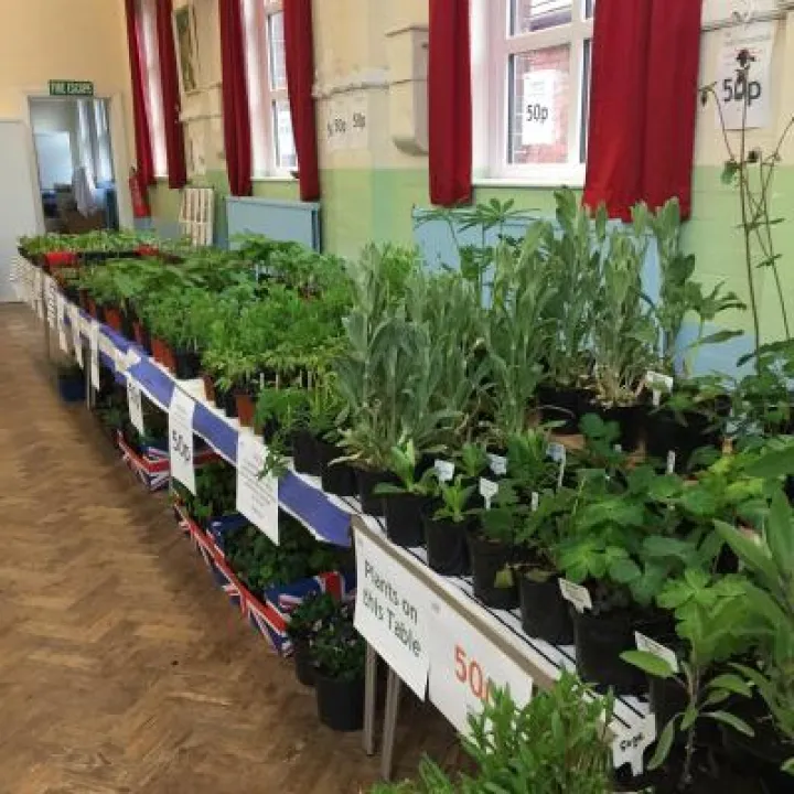 Image: 6A0CDFDF-B1AD-4049-95F2-DEA0DCBCF967