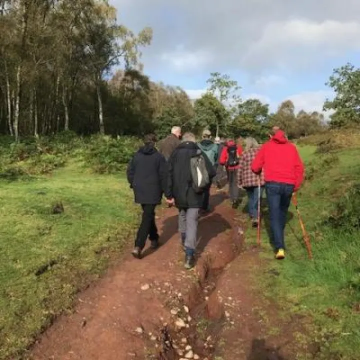 Bickerton Geology Walk