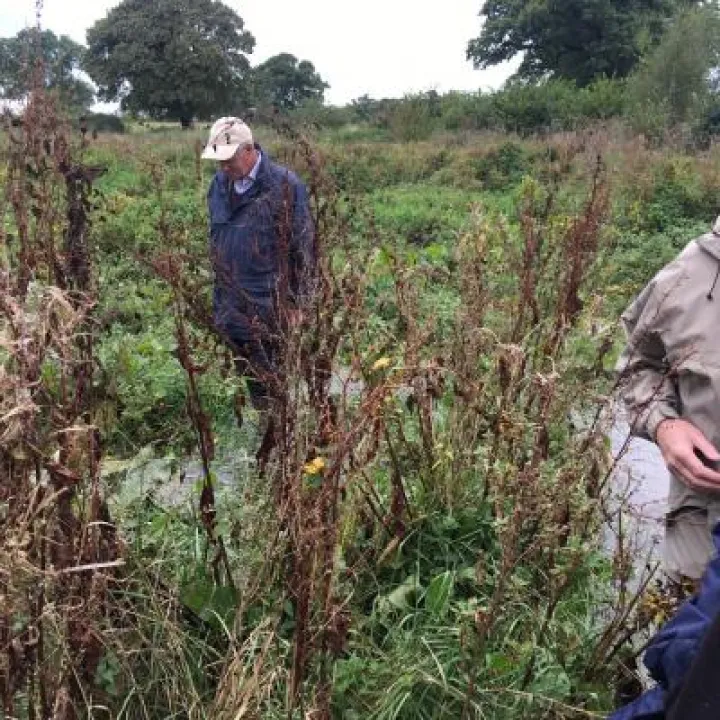 Mill Brook Flood Management