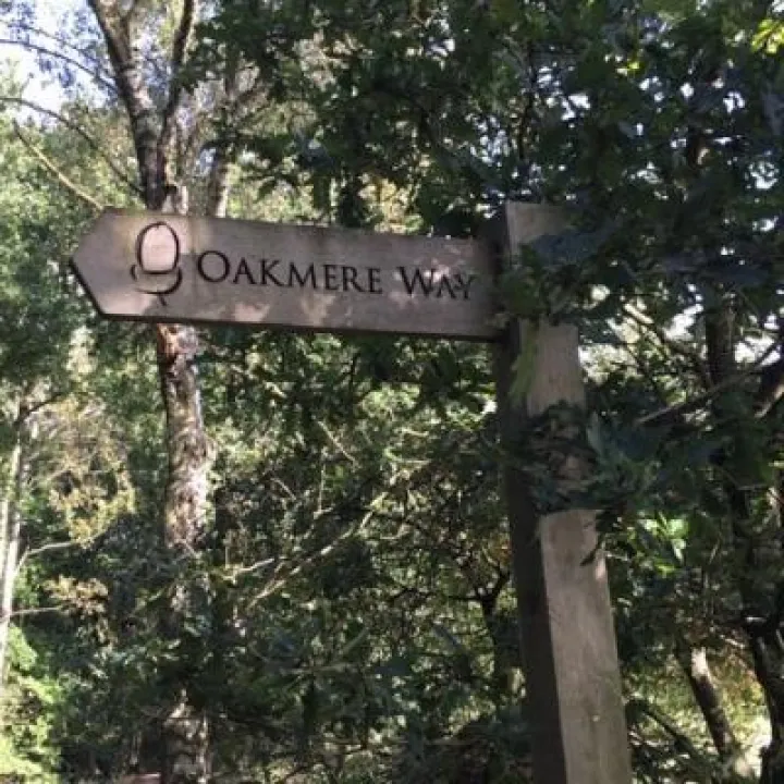 Station to Station Event