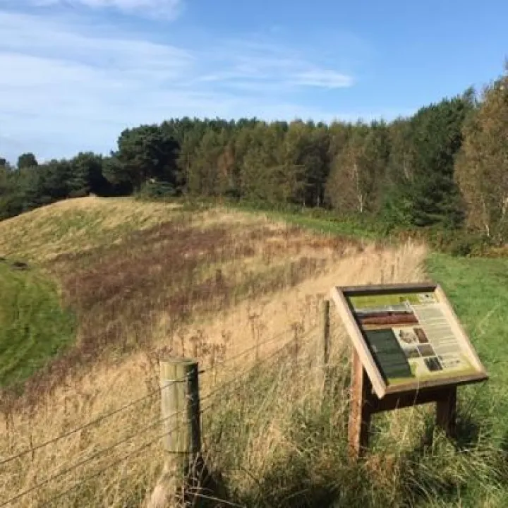 Station to Station Event: View to Crown Estate