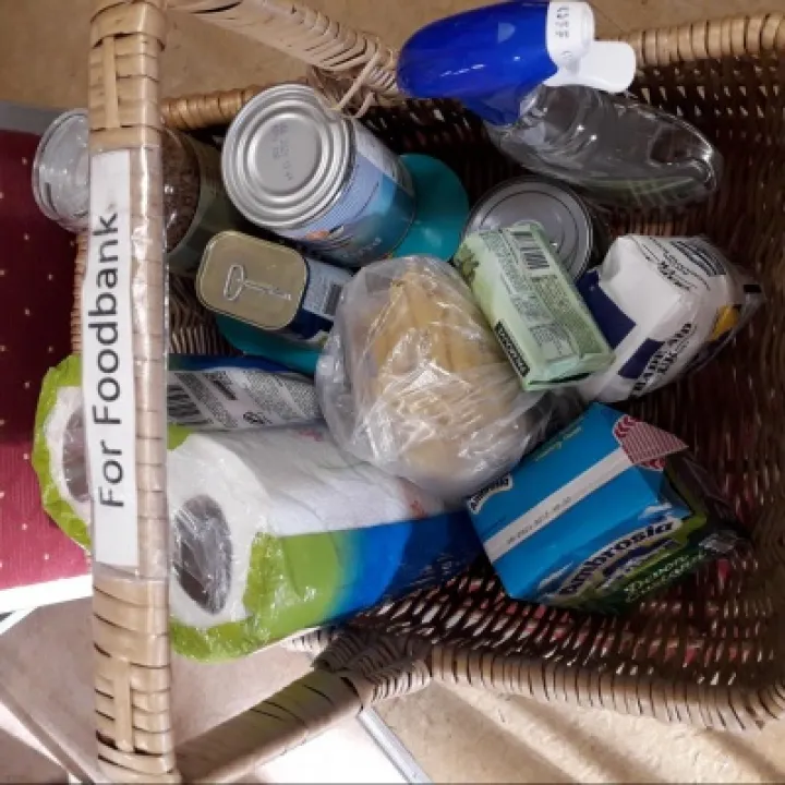 Our last contribution