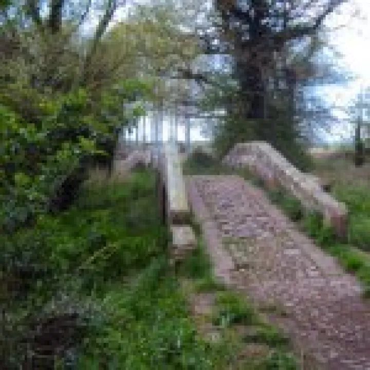 walk packhorse (2)