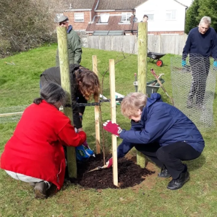 Sheerstock tree planting Mar20_03