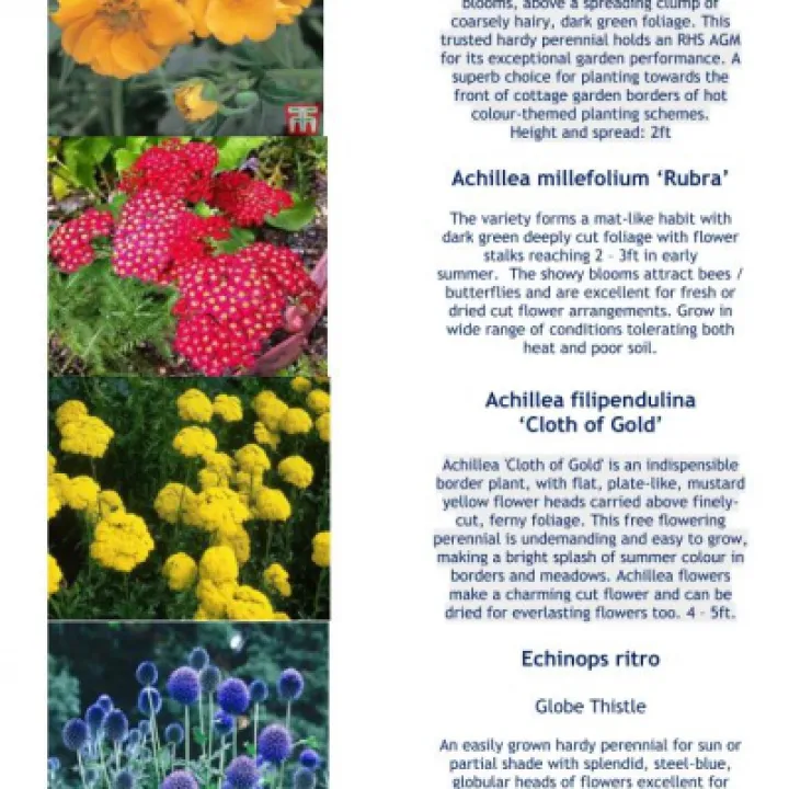 Plant Details 2020 Part 2  05-20_200511_page_001