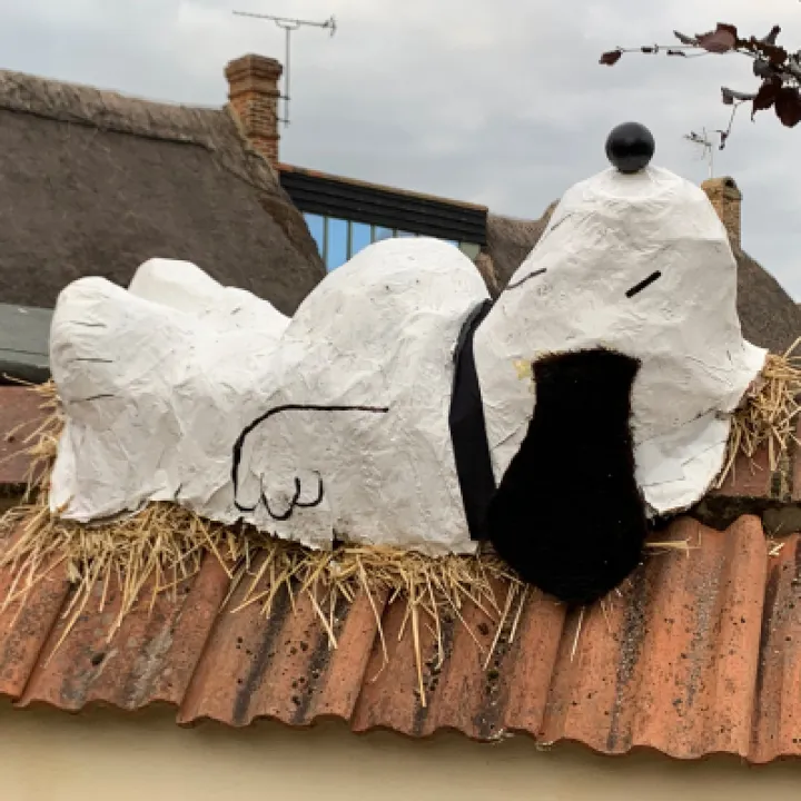 Image: 067 Acum Family Snoopy