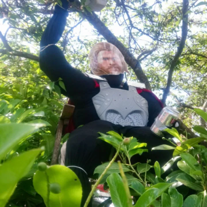 Image: 006 Sarah Storer Thor 01